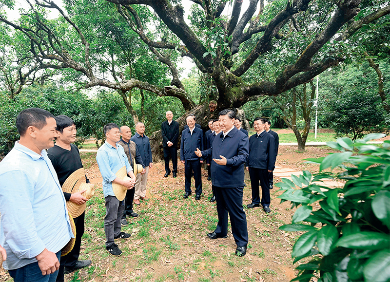 扑睿德州·(中国区)官方网站